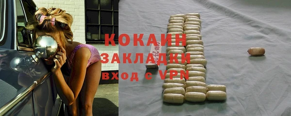 дживик Богородск