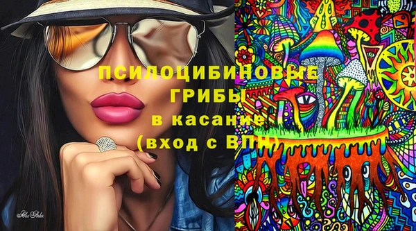 первитин Богородицк