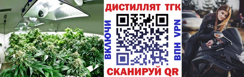 купить наркотик  Буй  ТГК концентрат 