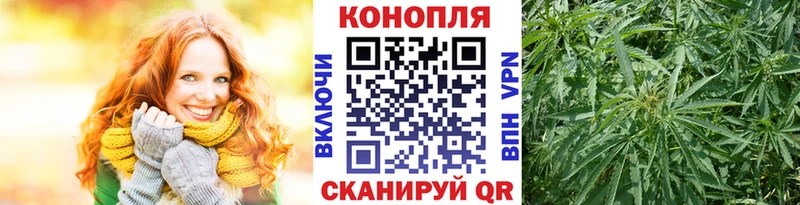 Шишки марихуана планчик  Буй 